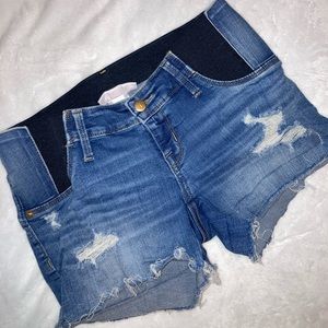 Maternity Shorts